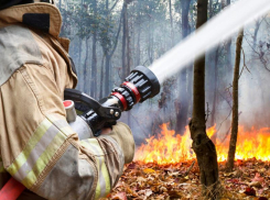 В Новороссийске сохраняется высокий уровень пожароопасности