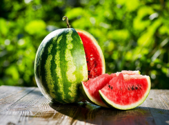 Коротко о погоде в Новороссийске:  жарко и солнечно