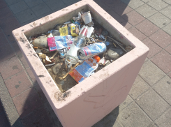 Какова красота: вместо цветов в клумбах Новороссийска растёт мусор 