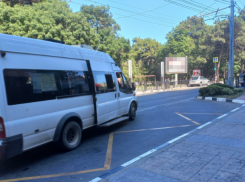 «Сколько можно издеваться?»: новороссийцы требуют у властей обещанных маршруток