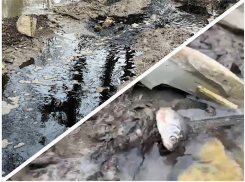 Туристы будут плавать в «мусорной» воде? Фильтрат стекает в море Новороссийска 