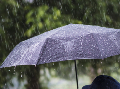 Сегодня новороссийцам могут понадобиться зонты: о погоде на четверг 