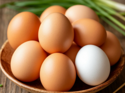 Яйца подешевели: глава Минсельхоза призывает поставить памятник производителям яиц