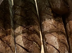 Останемся без хлеба: почему новороссийцы не смогут купить булку ржаного