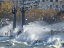 Оставайтесь дома: в Новороссийске поднялся ветер 