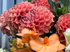 Чем привлекательны букеты из осенних цветов, рассказала флорист из Новороссийска