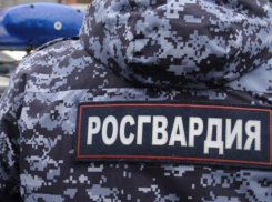 Двое новороссийцев в пьяном угаре пошли ограбить магазин