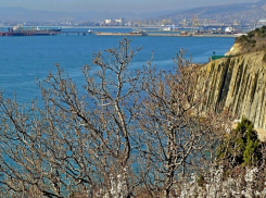 Прогноз погоды порадует новороссийцев: днем +20