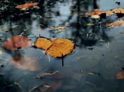 Завтра новороссийцам может понадобиться тёплая одежда и зонт 