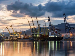 Всё, кроме строительства, выросло: о динамике социально-экономического развития Новороссийска