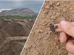 Песок с мазутом из Анапы везут в Новороссийск - уверены жители 