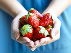 Ягода с золотым отливом: в Новороссийске начали продавать клубнику