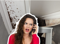 Квартиры заливает водой: новороссийцев вынуждают жить с плесенью 