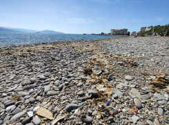 «За неделю до лета»: жительница Новороссийска жалуется на внешний вид пляжа