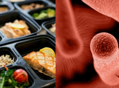 Чтобы ужин не стал последним: в России проверят производителей готовой еды