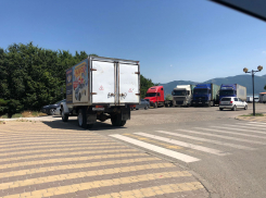 «Хомяки» - теперь и на пляжах Новороссийска