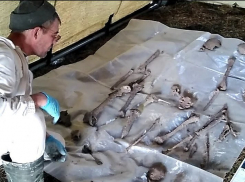 В Новороссийске поисковики начали эксгумацию останков, найденных при прокладке ливневки