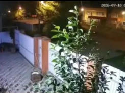 Салют во время опасности БПЛА: в Краснодаре наказали 20-летнего парня