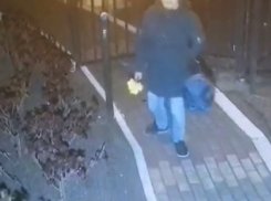 Во тьме ночной женщина обрывает клумбы в Новороссийске 