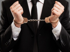 Вместо помощи: в Новороссийске “накрыли” мошенниц, грабивших своих клиентов 