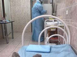 На Кубани 70 человек находятся под наблюдением медиков из-за коронавируса