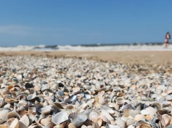 Пляжи Азовского моря уже готовятся к приему туристов