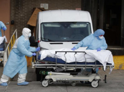 Коронавирус ударил по Новороссийску: новые зараженные