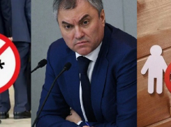  Власти – это не чайлдфри: спикер Госдумы сказал, что за оскорбление власти сильнее наказывать не будут