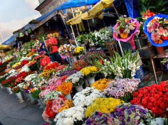 Весна близко: новороссийцам рассказали, где покупать цветы к 8 марта