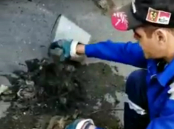 Новороссийцы превратили канализацию в мусорку