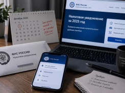 Налоговый дедлайн уже близко: россиянам пора проверить начисления за 2025 год