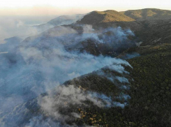 На восстановление сгоревшего заповедника у соседей Новороссийска уйдёт не меньше века 