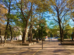 Начало недели в Новороссийске будет ясным и холодным 