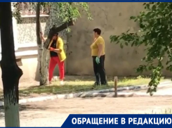 Аллею молодых деревьев безжалостно спилили в Новороссийске 