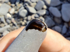 Мазут, да не тот? Пятна нефтепродуктов обнаружены на пляжах Новороссийска