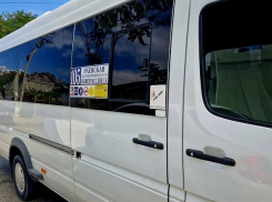 Новороссийский водитель выгнал детей из маршрутки и лишился работы