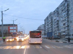 Водители все чаще не пропускают пешеходов в Новороссийске