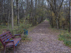 Погода в Новороссийске: весь день минусовая температура по ощущениям