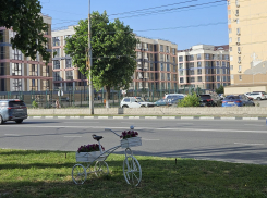 Гороскоп от «Блокнота»: Скорпионам не торопиться с важными решениями, а Львам сохранять спокойствие