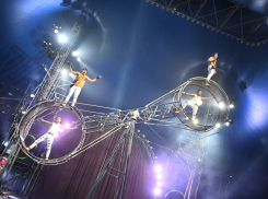 Цирк Демидовых в Новороссийске: осталось всего 4 экстремальных шоу без животных 