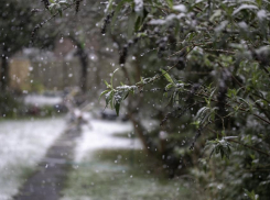 Погода в Новороссийске: весна припасла для жителей города дождь со снегом