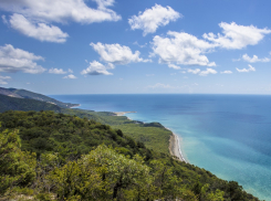 Заповедник vs туристский кластер: экологи борются с властями Новороссийска за «Абрау-Утриш»