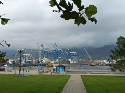 Между Новороссийском и Китаем откроют морскую линию: посылки станут приходить быстрее 