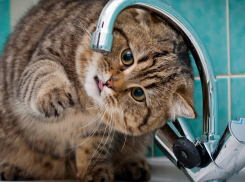 Подачу воды ограничат по ряду улиц в Новороссийске 