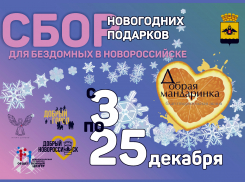 В Новороссийске проходит предновогодний сбор «Добрая мандаринка»