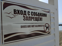 Не рискуйте: чего сегодня стоит опасаться каждому знаку Зодиака