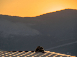 Погода в Новороссийске: солнышко, жара и ветер