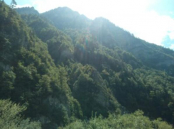 Поджигают, мусорят и пытаются захватить: от чего пришлось защищать леса Новороссийска