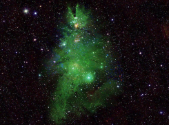 У Млечного пути тоже есть своя елочка — самая недосягаемая для новороссийцев