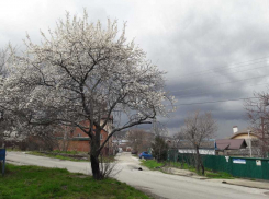 Суббота в Новороссийске начнётся с дождя